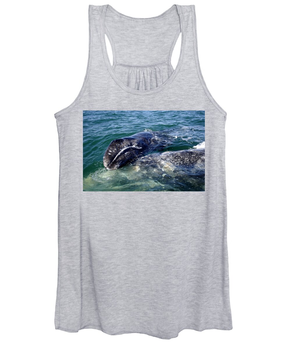 Grey Whale Women's Tank Top featuring the photograph Mother Grey Whale and baby calf by David Shuler