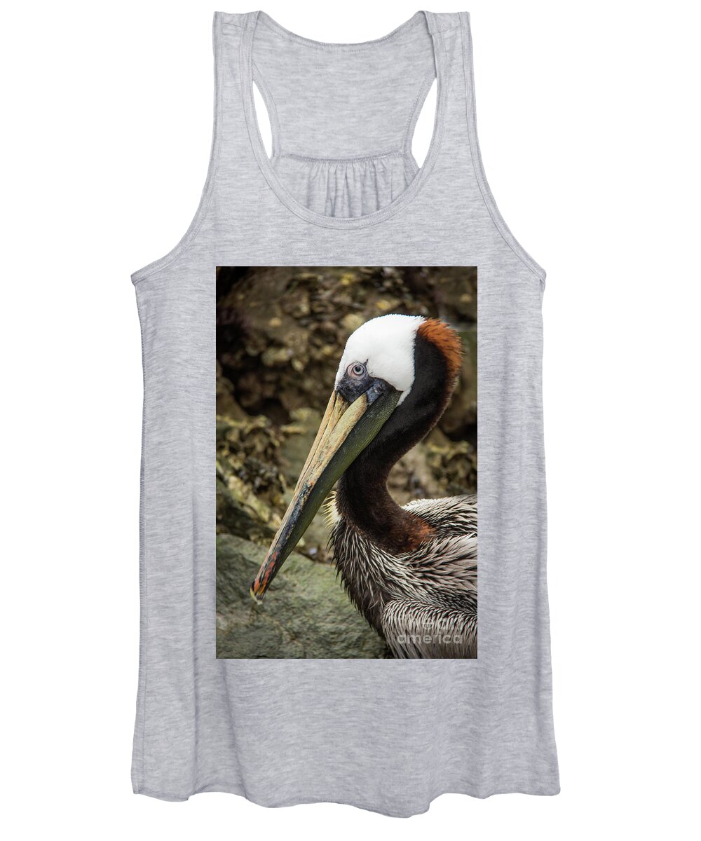 2016 Women's Tank Top featuring the photograph Mr. Cool Wildlife Art by Kaylyn Franks by Kaylyn Franks