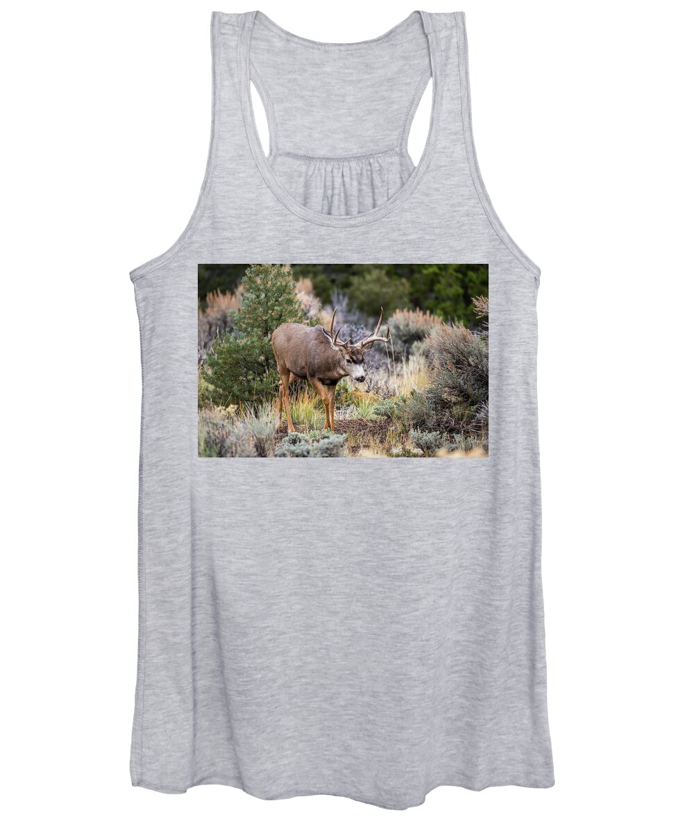 Mule Women's Tank Top featuring the photograph Mule Deer In the Brush by Paul Freidlund