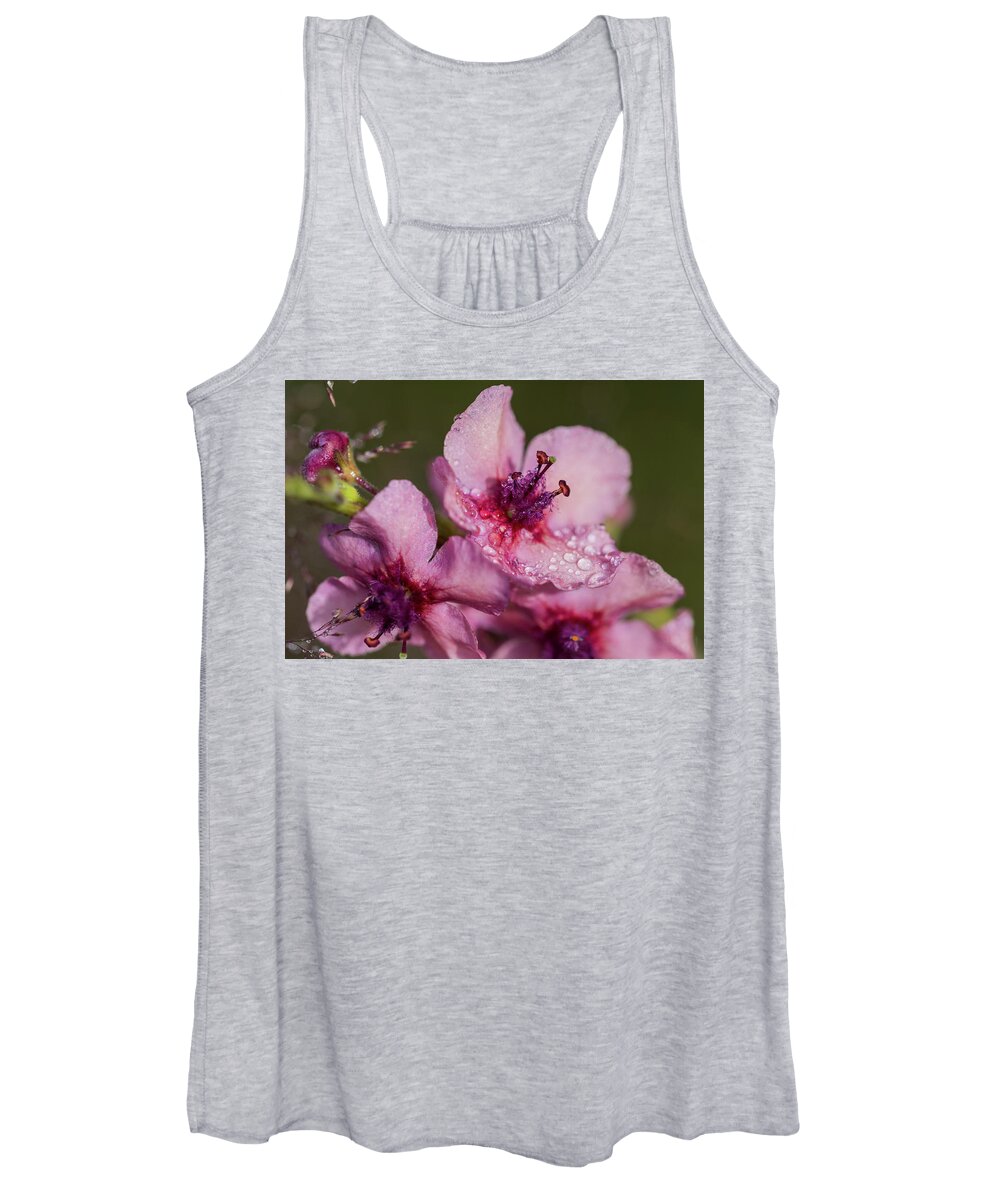 Astoria Women's Tank Top featuring the photograph Mullein in the Mist by Robert Potts