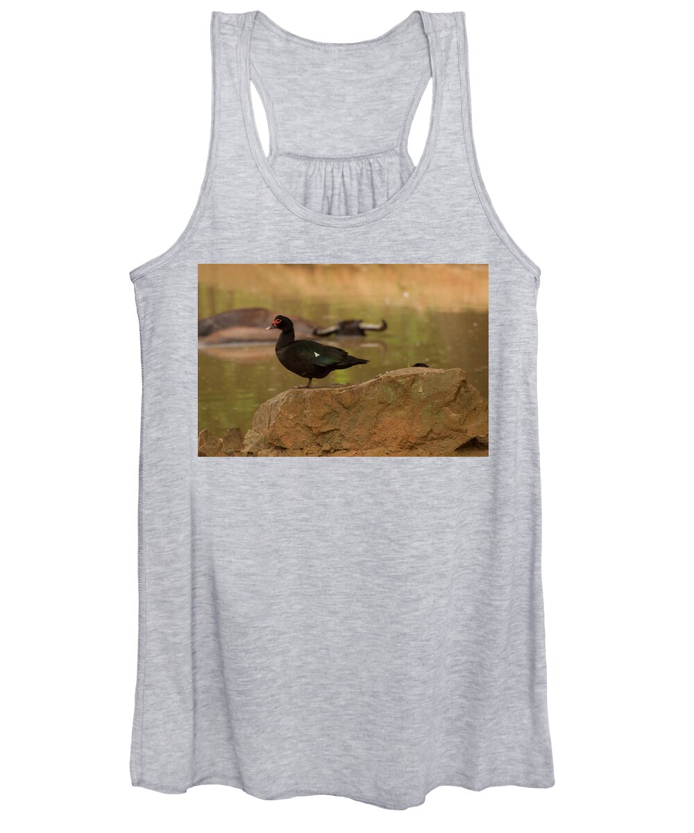 Muscovy Duck Women's Tank Top featuring the photograph Muscovy Duck by Flees Photos