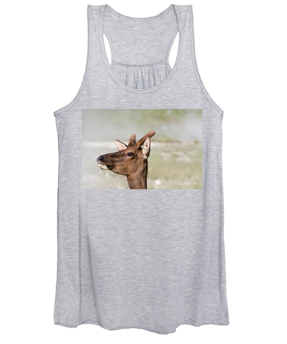Animal Women's Tank Top featuring the photograph My Better Side by Teresa Zieba