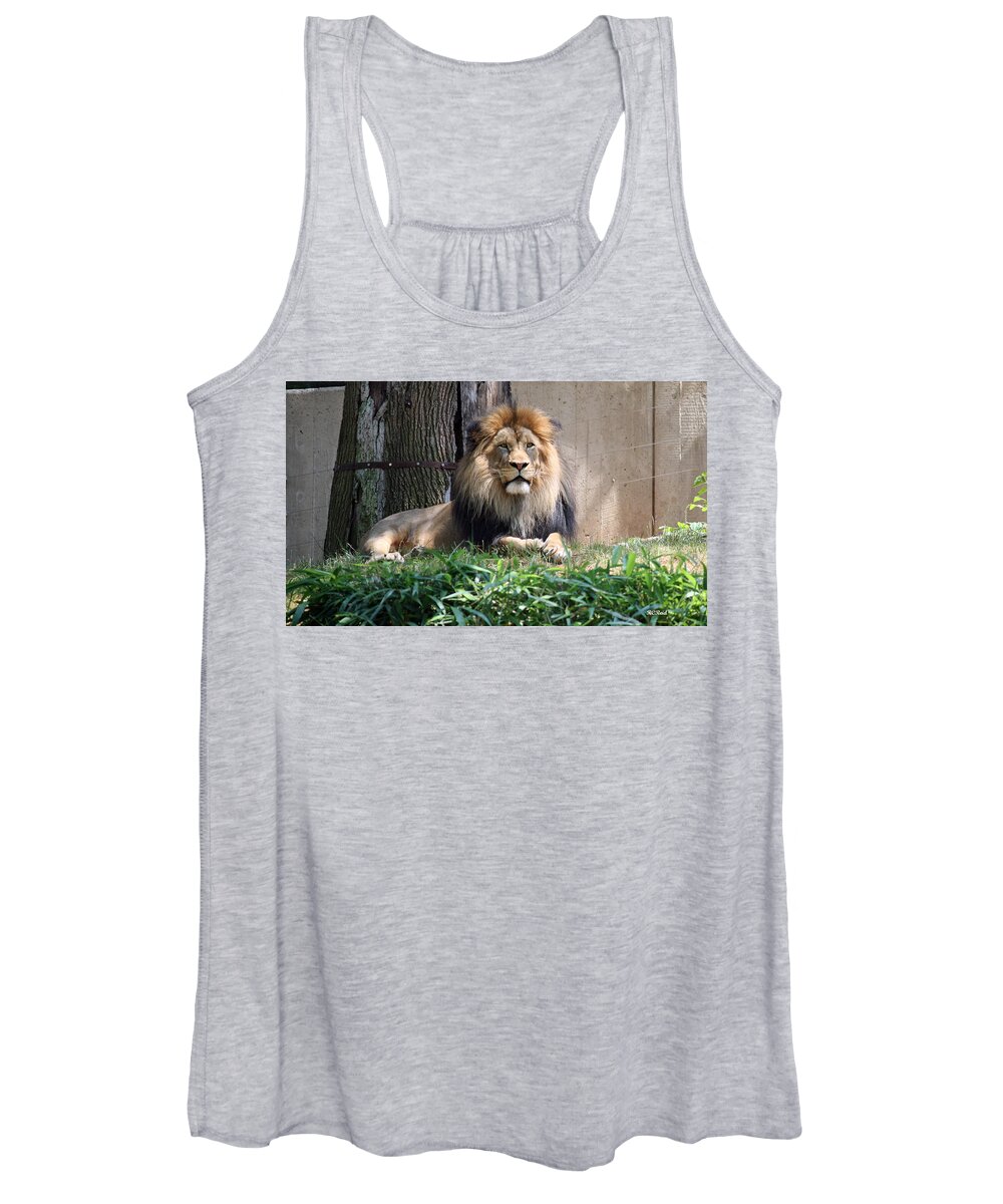 Smithsonian Women's Tank Top featuring the photograph National Zoo - Luke - African Lion by Ronald Reid