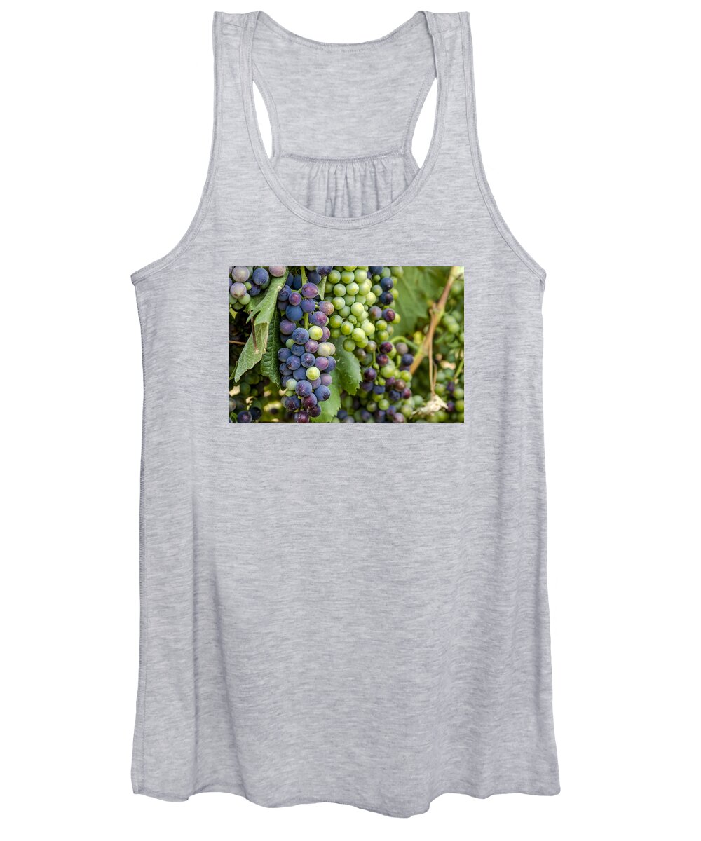 Colorado Vineyard Women's Tank Top featuring the photograph Natures Colors in Wine Grapes by Teri Virbickis
