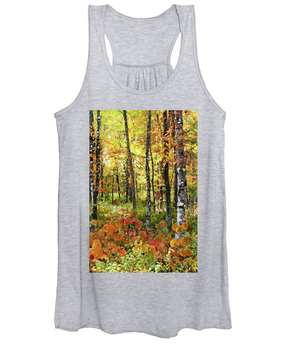 Photography Women's Tank Top featuring the photograph North Woods Trees #6 by Brett Pelletier
