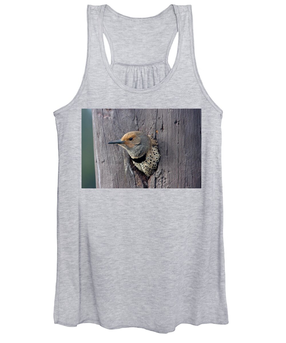 Wild Women's Tank Top featuring the photograph Northern Flicker Portrait by Mark Miller