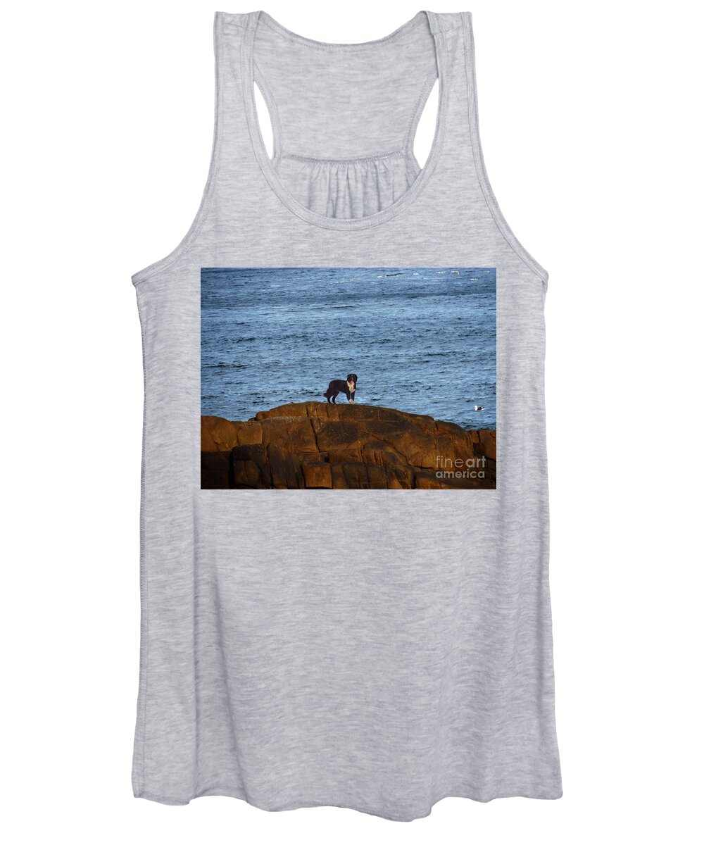 Dog Women's Tank Top featuring the photograph Ocean Dog by Metaphor Photo