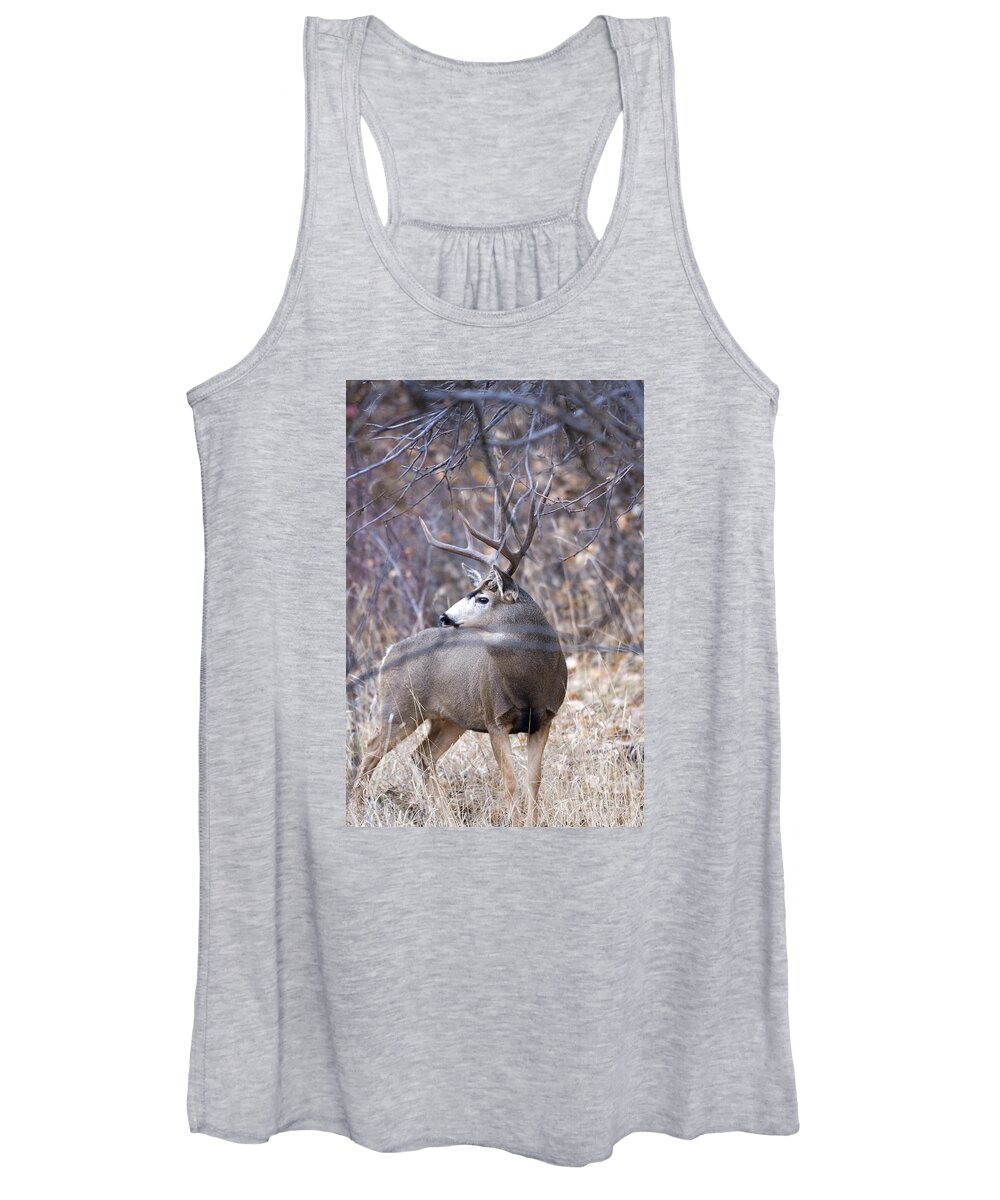Buck Women's Tank Top featuring the photograph Old Orchard by Douglas Kikendall