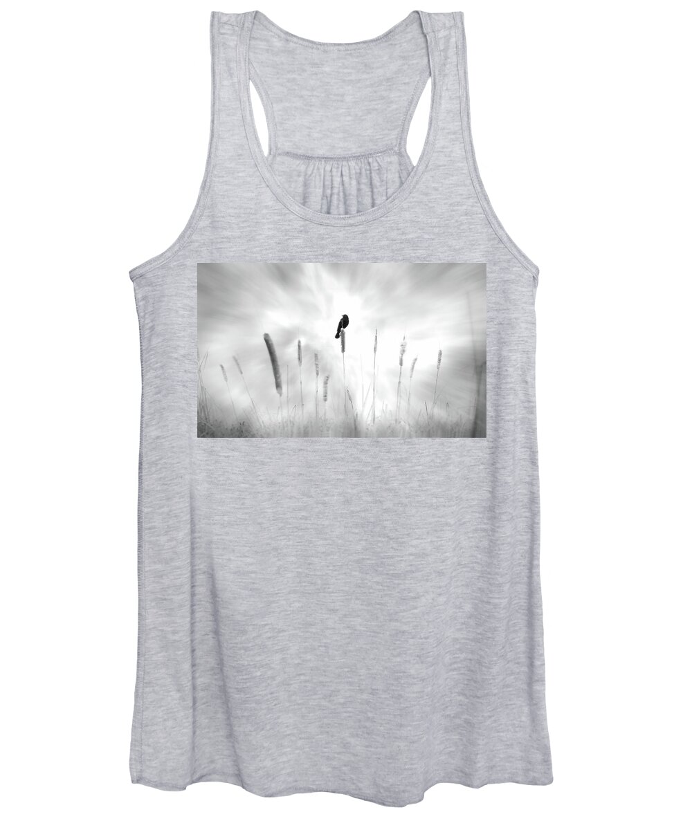 Bird; Black; Dream; Field; Message; Omen; Pussy Willow; White; John Poon; Cattail; Luck Women's Tank Top featuring the photograph Omen by John Poon