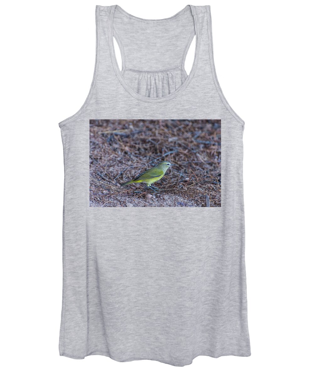 Orange Women's Tank Top featuring the photograph Orange-crowned Warbler by Douglas Killourie