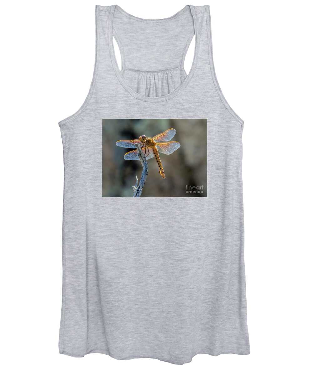 Nature Women's Tank Top featuring the photograph Dragonfly 6 by Christy Garavetto