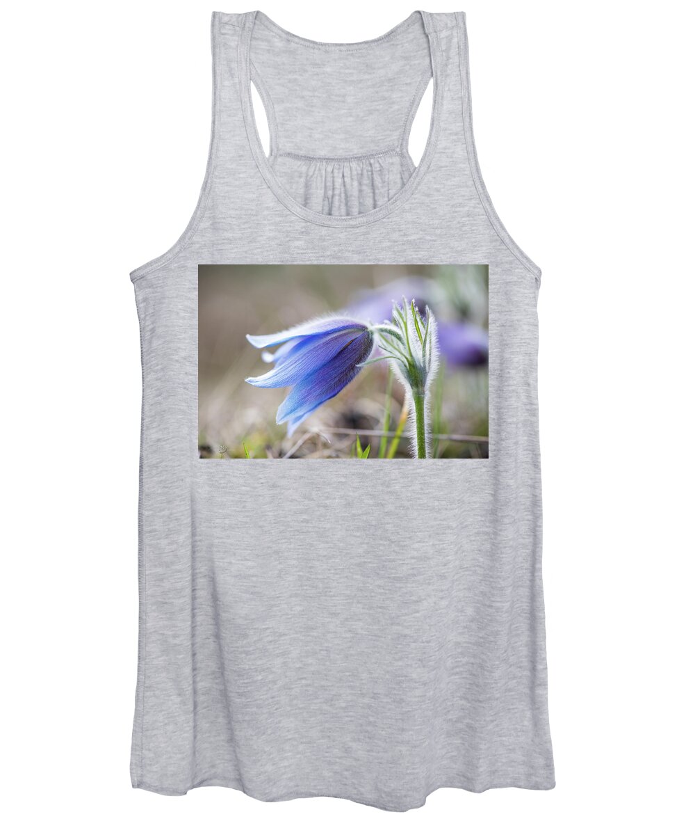 Anemone Pulsatilla Women's Tank Top featuring the photograph Pasque Flower's silver grey hair by Torbjorn Swenelius