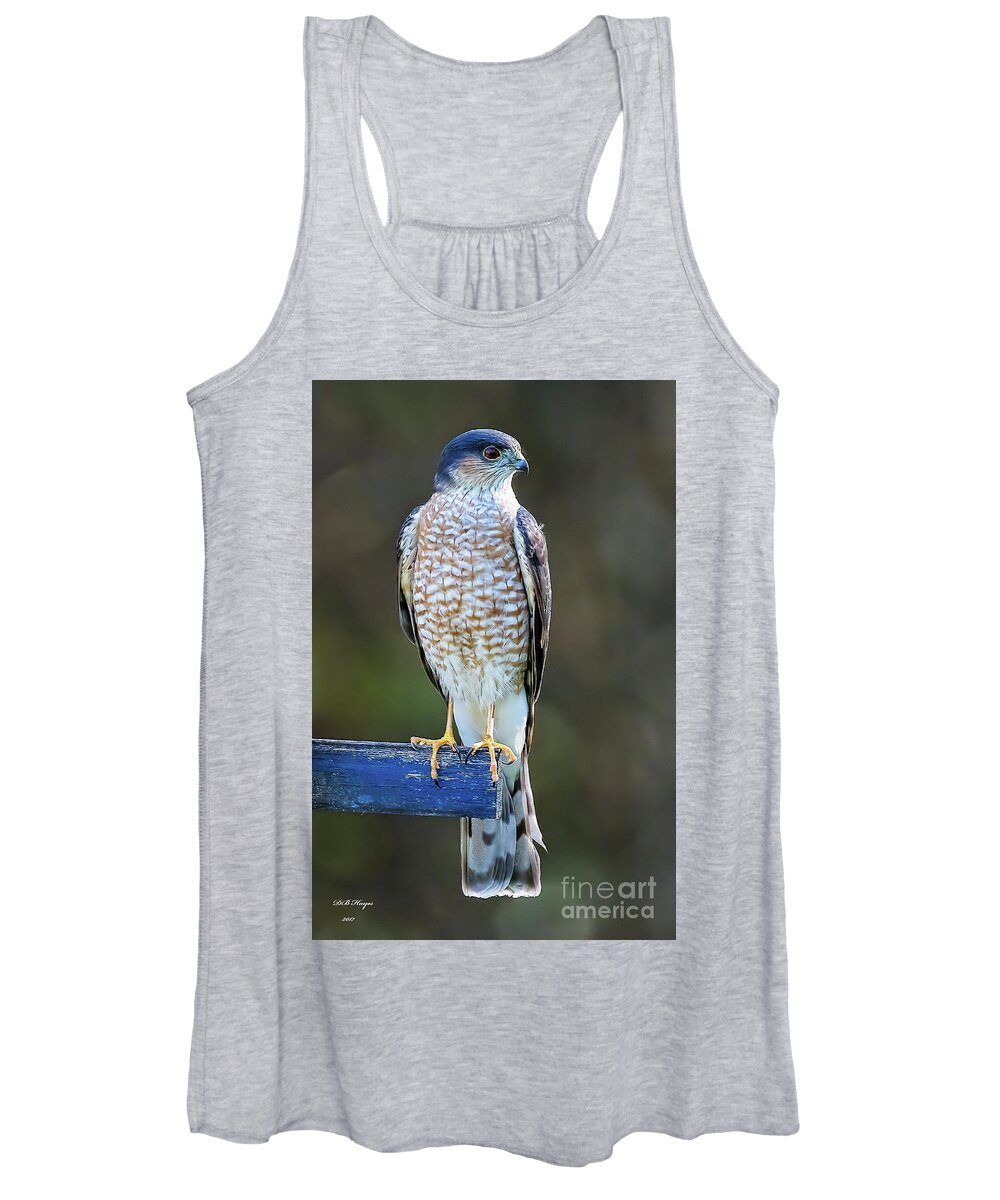 Hawks Women's Tank Top featuring the photograph Sharp-Shinned Hawk by DB Hayes