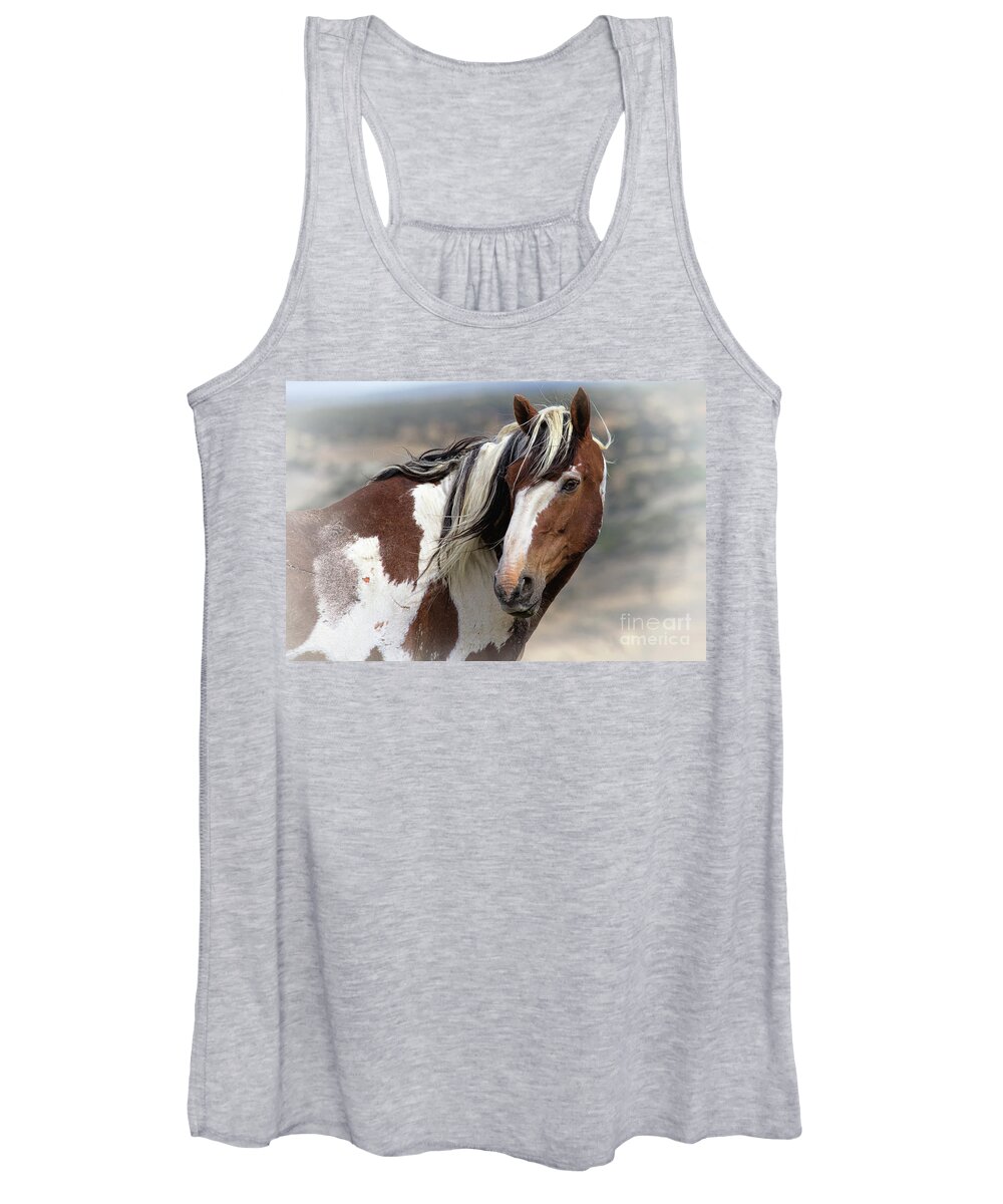 Stallion Women's Tank Top featuring the photograph Picasso by Jim Garrison