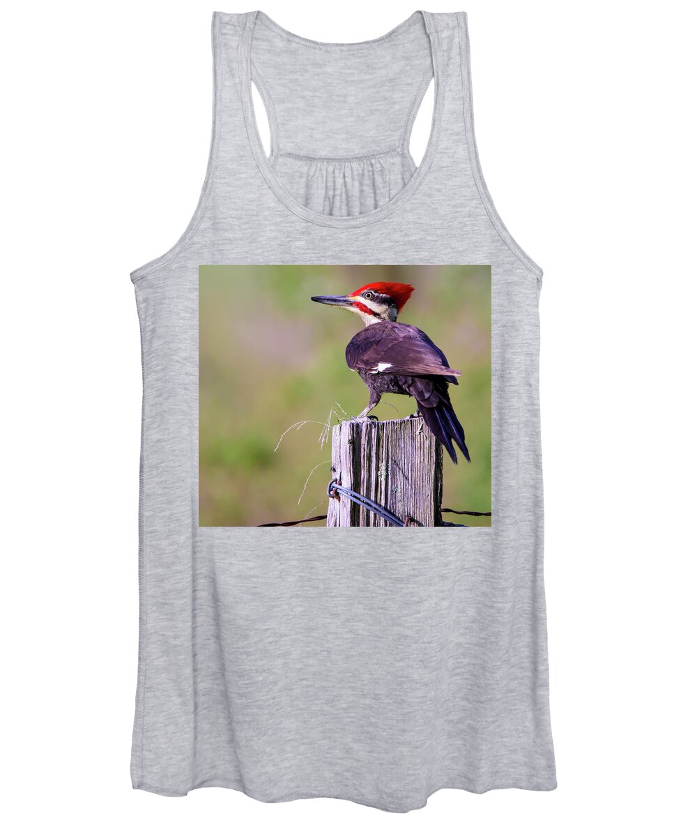 Wildlife Women's Tank Top featuring the photograph Pileated Woodpecker by Roberta Kayne