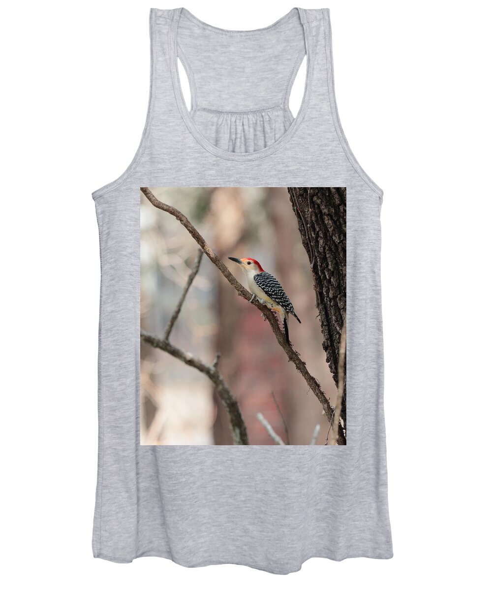 Red-bellied Woodpecker Women's Tank Top featuring the photograph Red-bellied Woodpecker by John Moyer