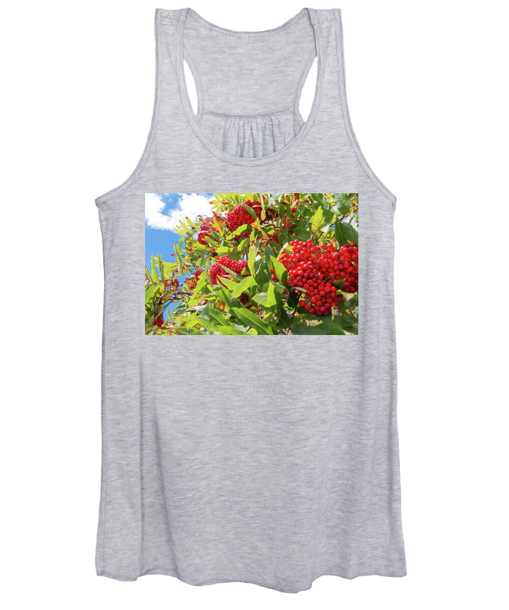 Red Women's Tank Top featuring the photograph Red Berries, Blue Skies by D K Wall