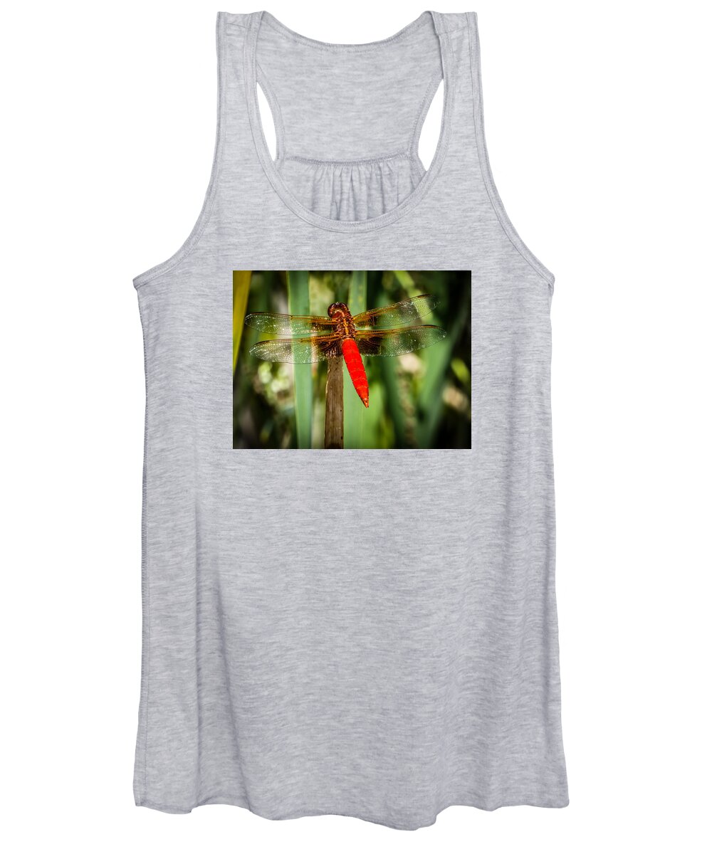 Dragonfly Women's Tank Top featuring the photograph Red Dragonfly by Pamela Newcomb