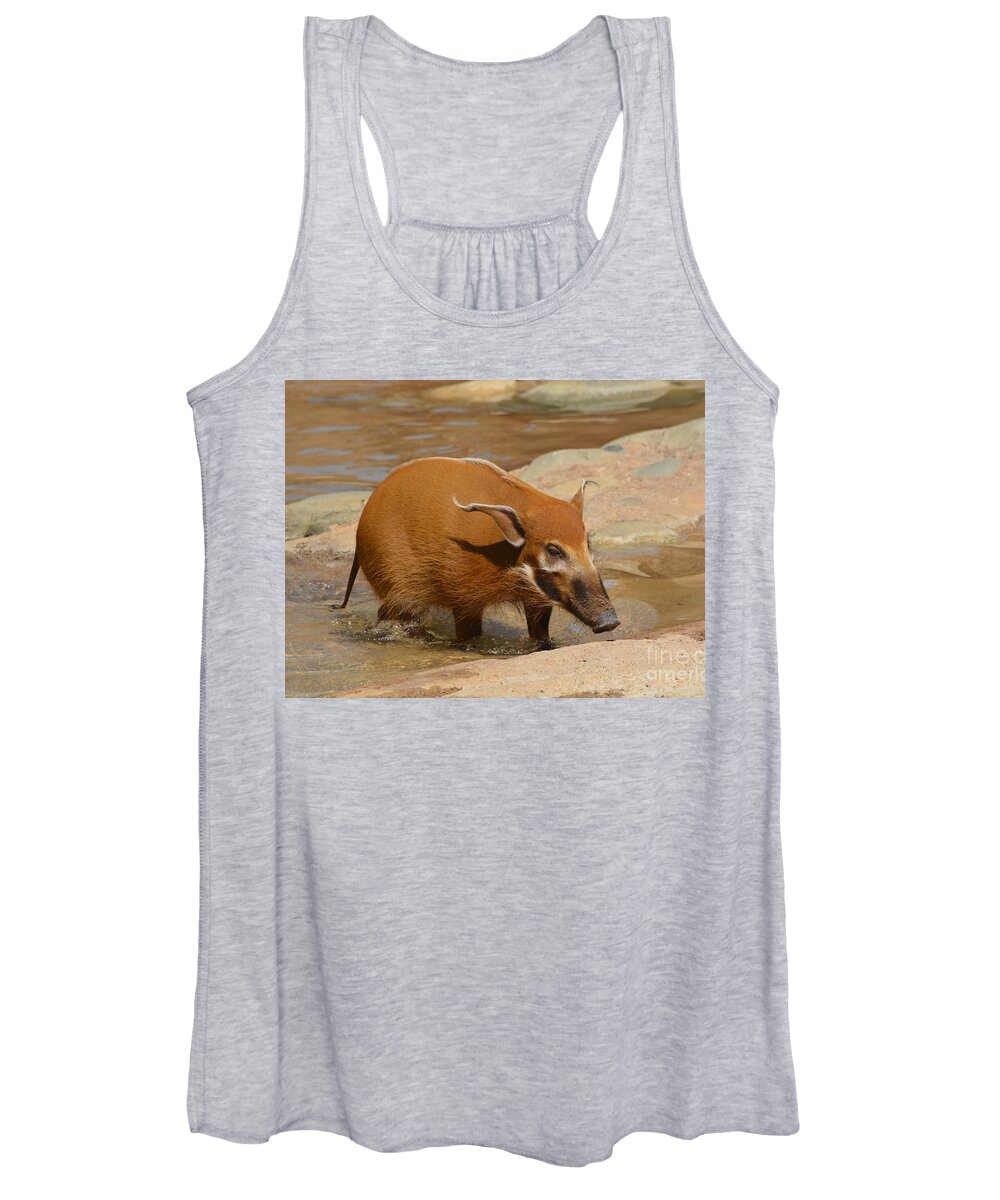 Red River Hog Women's Tank Top featuring the photograph Red River Hog by Savannah Gibbs