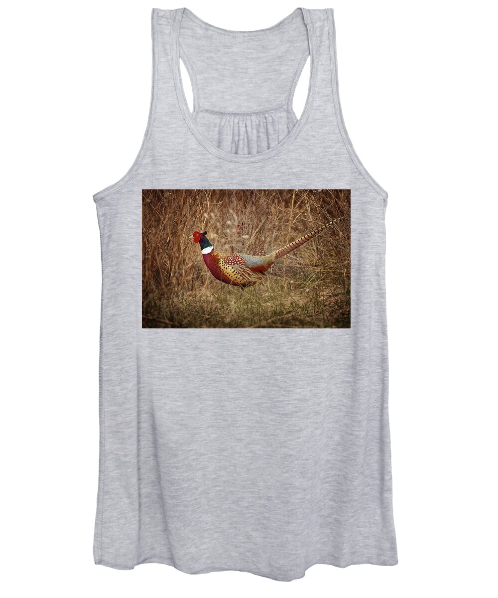 Pheasants Women's Tank Top featuring the photograph Ring Necked Pheasant by Susan Rissi Tregoning