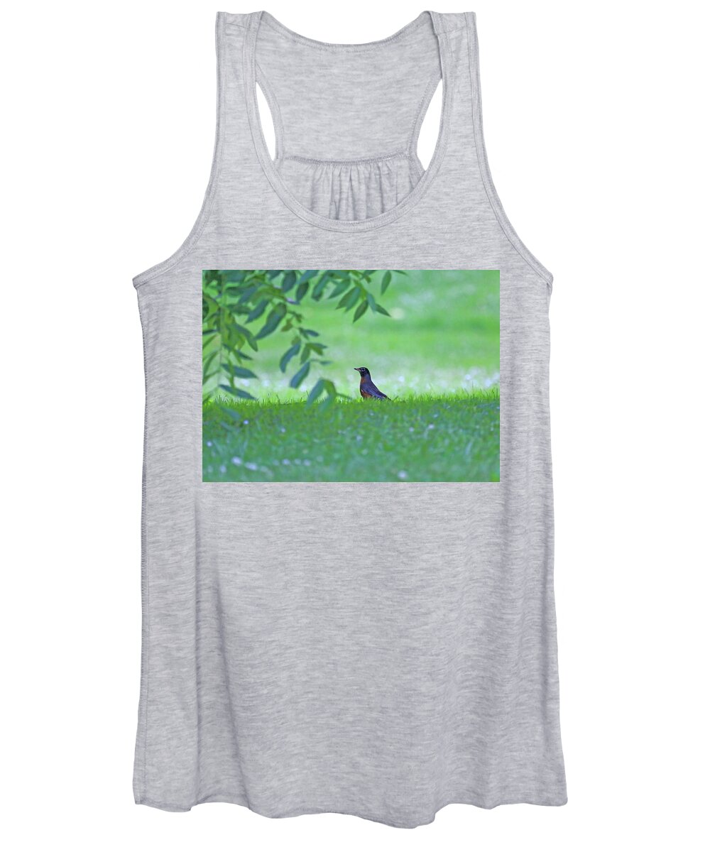 Robin In Grass Women's Tank Top featuring the photograph Robin in Grass by PJQandFriends Photography