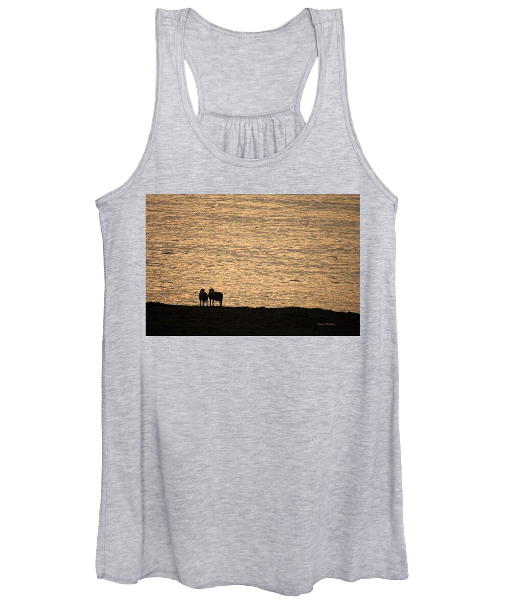 Sheep Women's Tank Top featuring the photograph Romancing The Sheep by Donna Blackhall