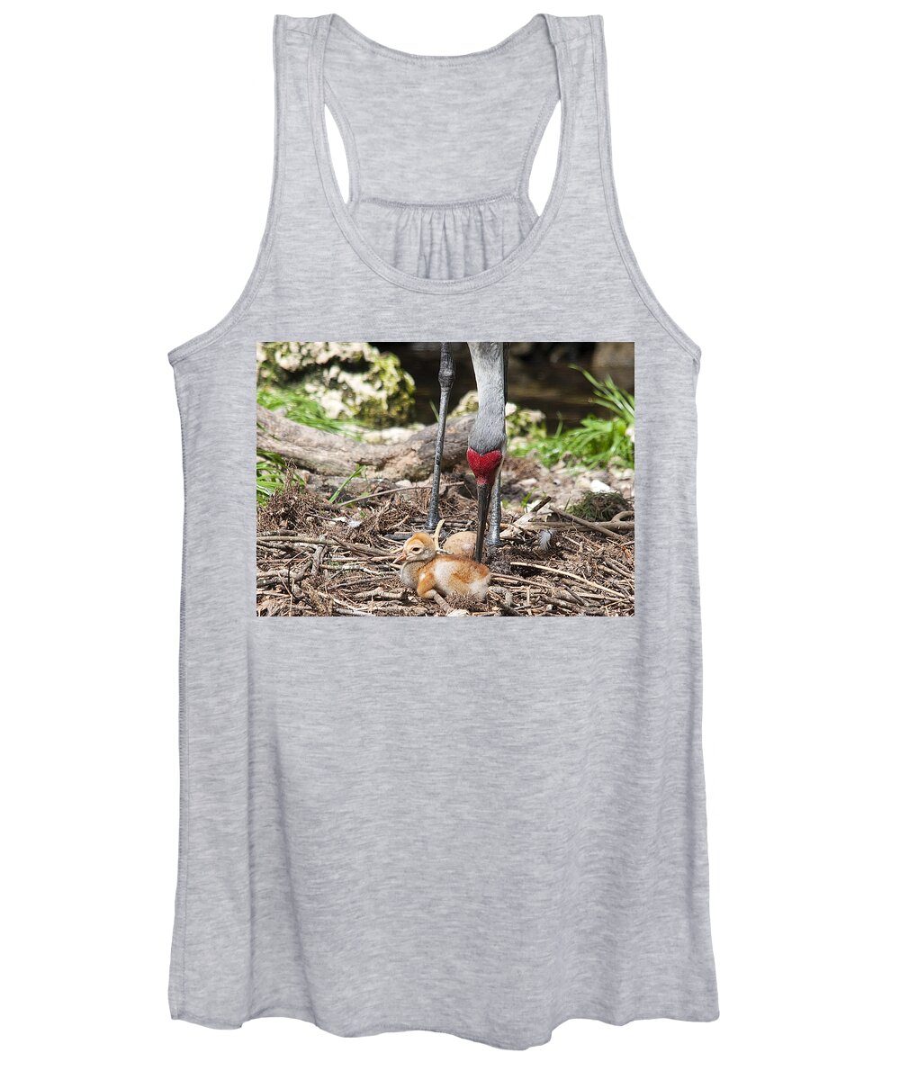 Wildlife Women's Tank Top featuring the photograph Sandhill Crane Mom and Chick by Kenneth Albin