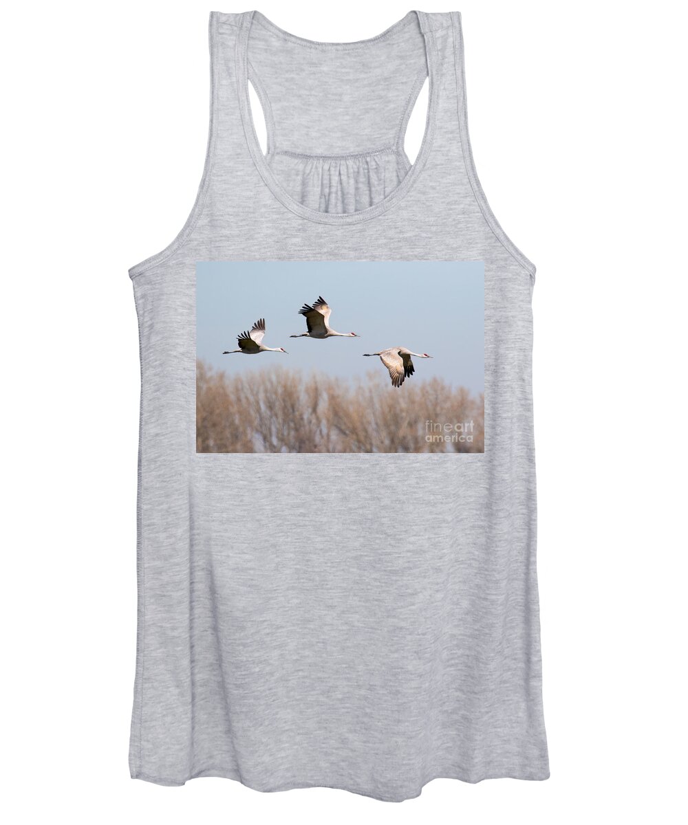 Merced Women's Tank Top featuring the photograph Sandhill Cranes In Flight by Mimi Ditchie