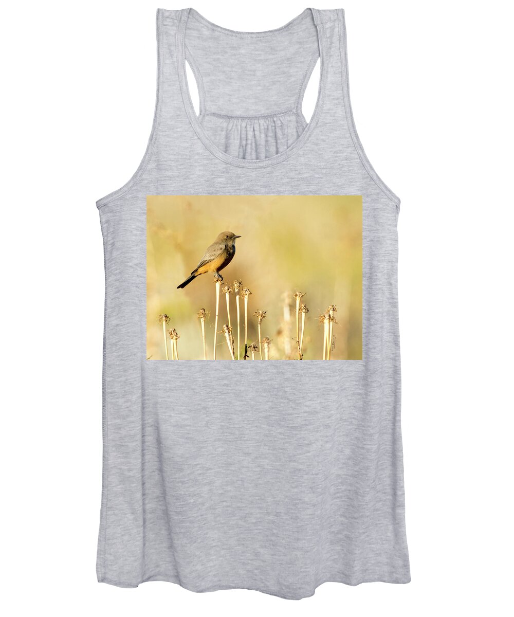 Say's Phoebes Women's Tank Top featuring the photograph Say's Phoebe by Judi Dressler