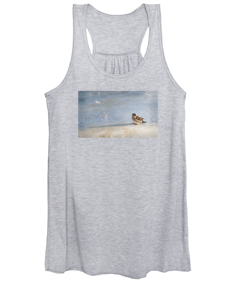 Sparrow Women's Tank Top featuring the photograph Singin in the Rain by Jill Love
