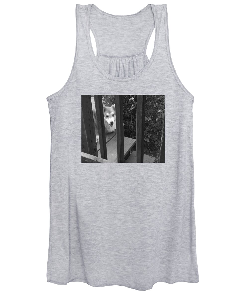Husky Women's Tank Top featuring the photograph Smiling Dog by Brad Nellis