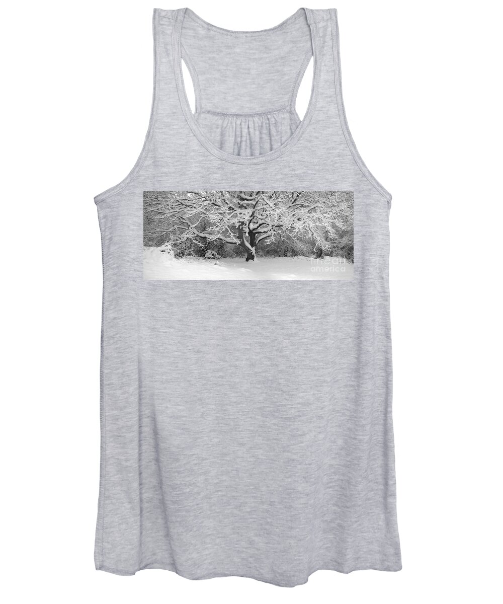 Snow Dusted Tree Women's Tank Top featuring the photograph Snow dusted tree by Paul Davenport