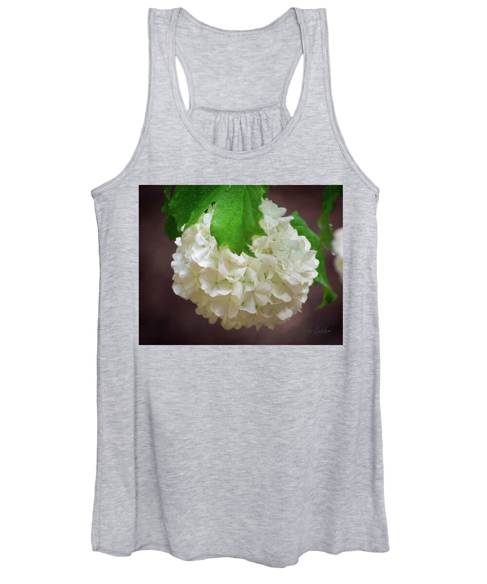 Wet Women's Tank Top featuring the photograph Snowball Bloom by Steph Gabler