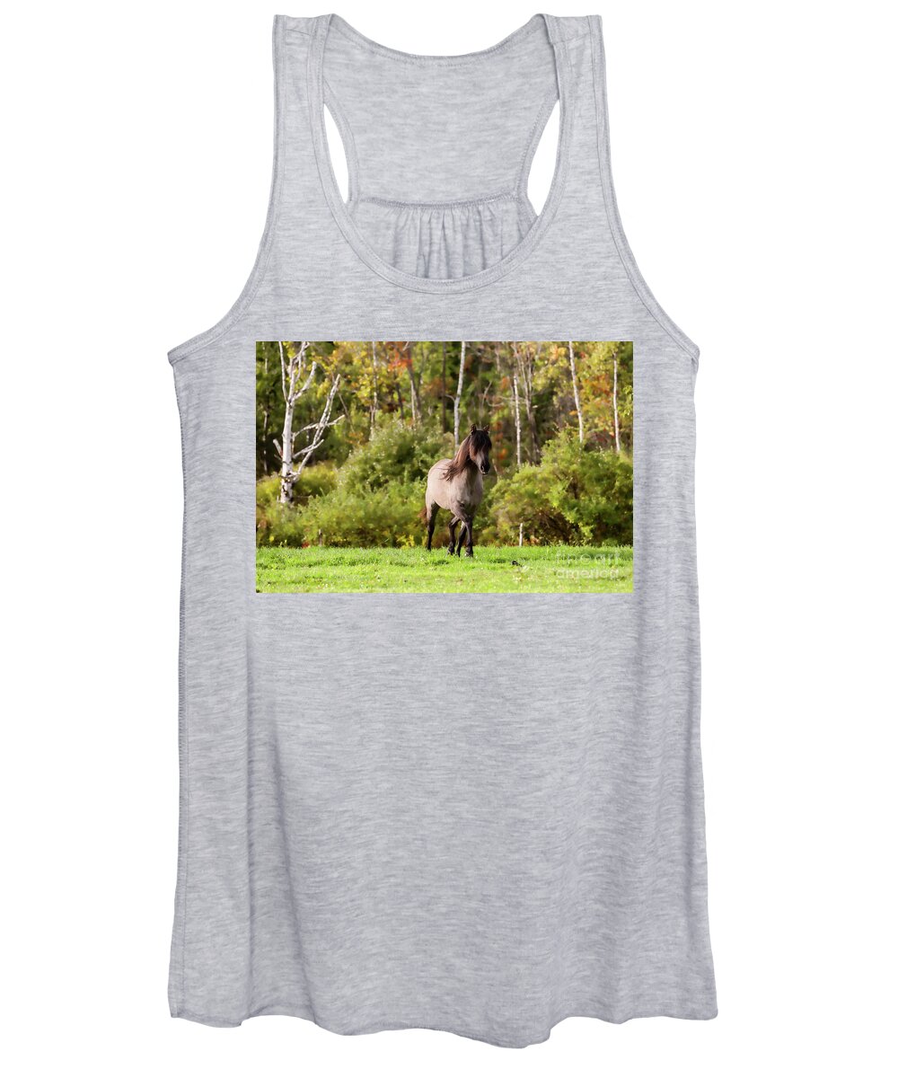 Wild Horse Women's Tank Top featuring the photograph Spanish Mustang by JBK Photo Art