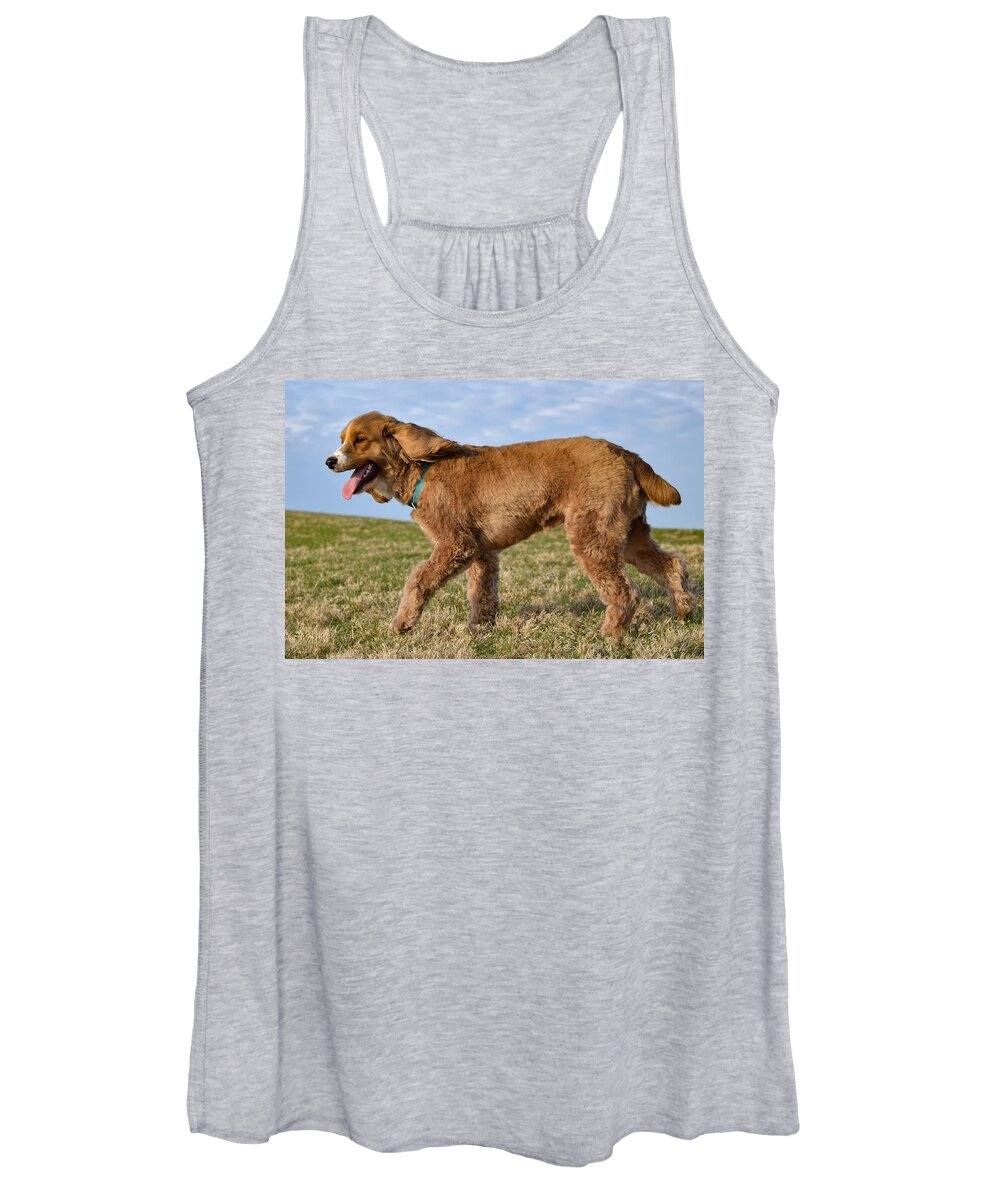 Cockapoo Women's Tank Top featuring the photograph Sunny Stroll by Nicole Lloyd