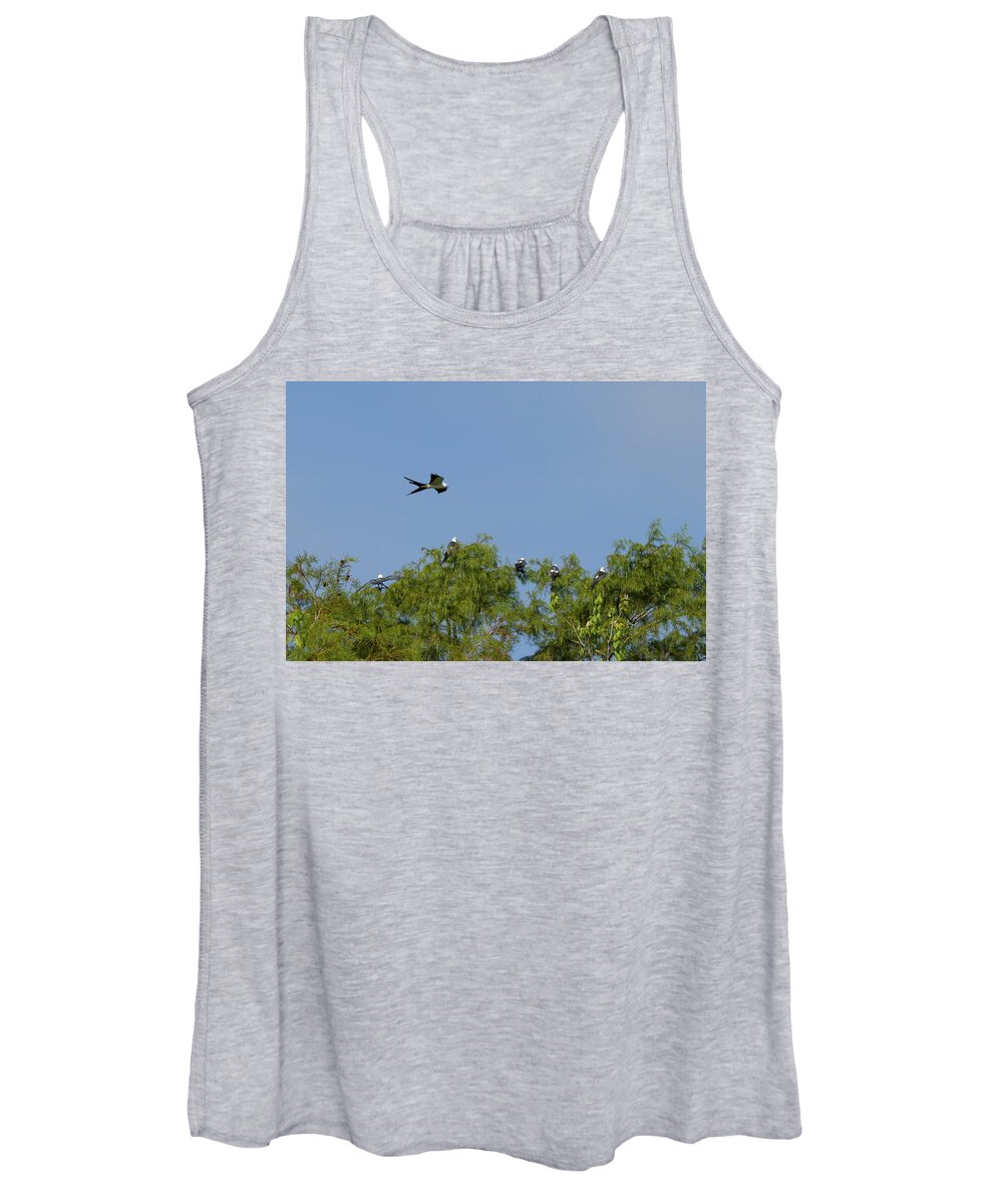 Kite Women's Tank Top featuring the photograph Swallow-tailed Kite Flyover by Paul Rebmann