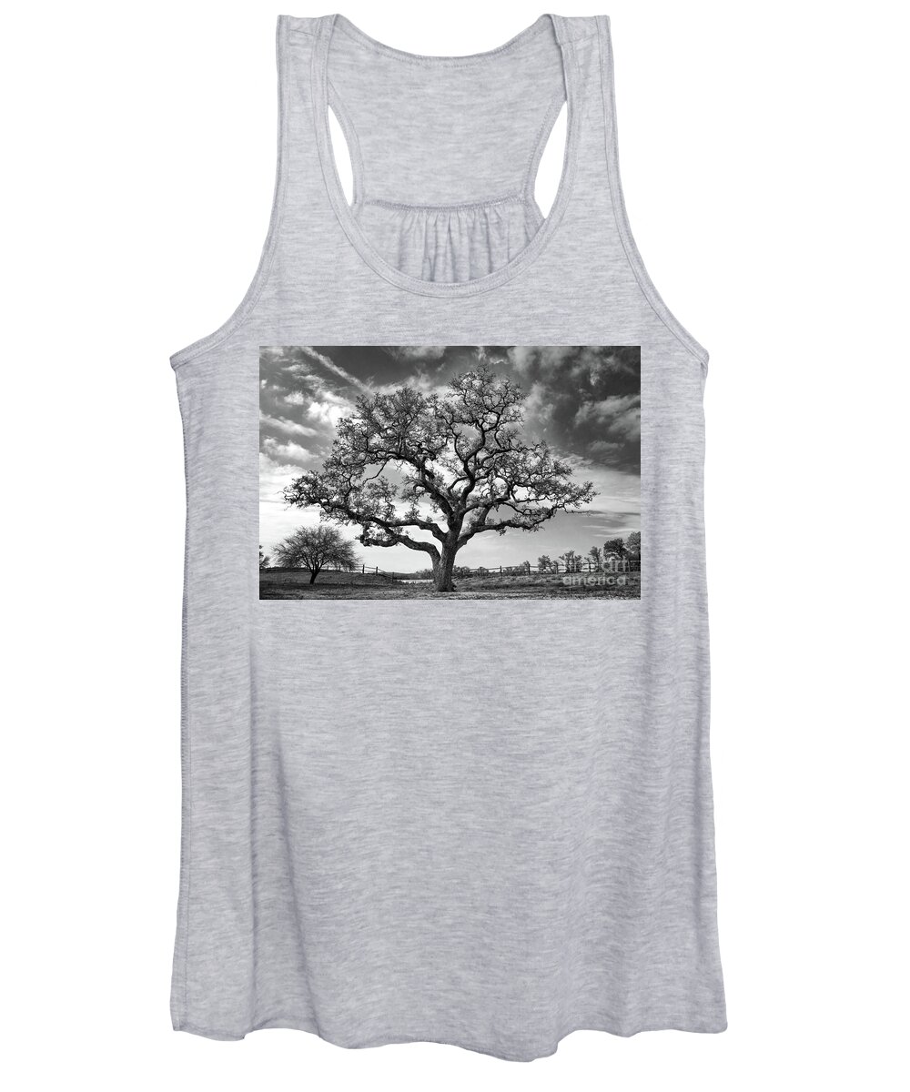 Texas Live Oak Women's Tank Top featuring the photograph The Sentinel BW by Jemmy Archer