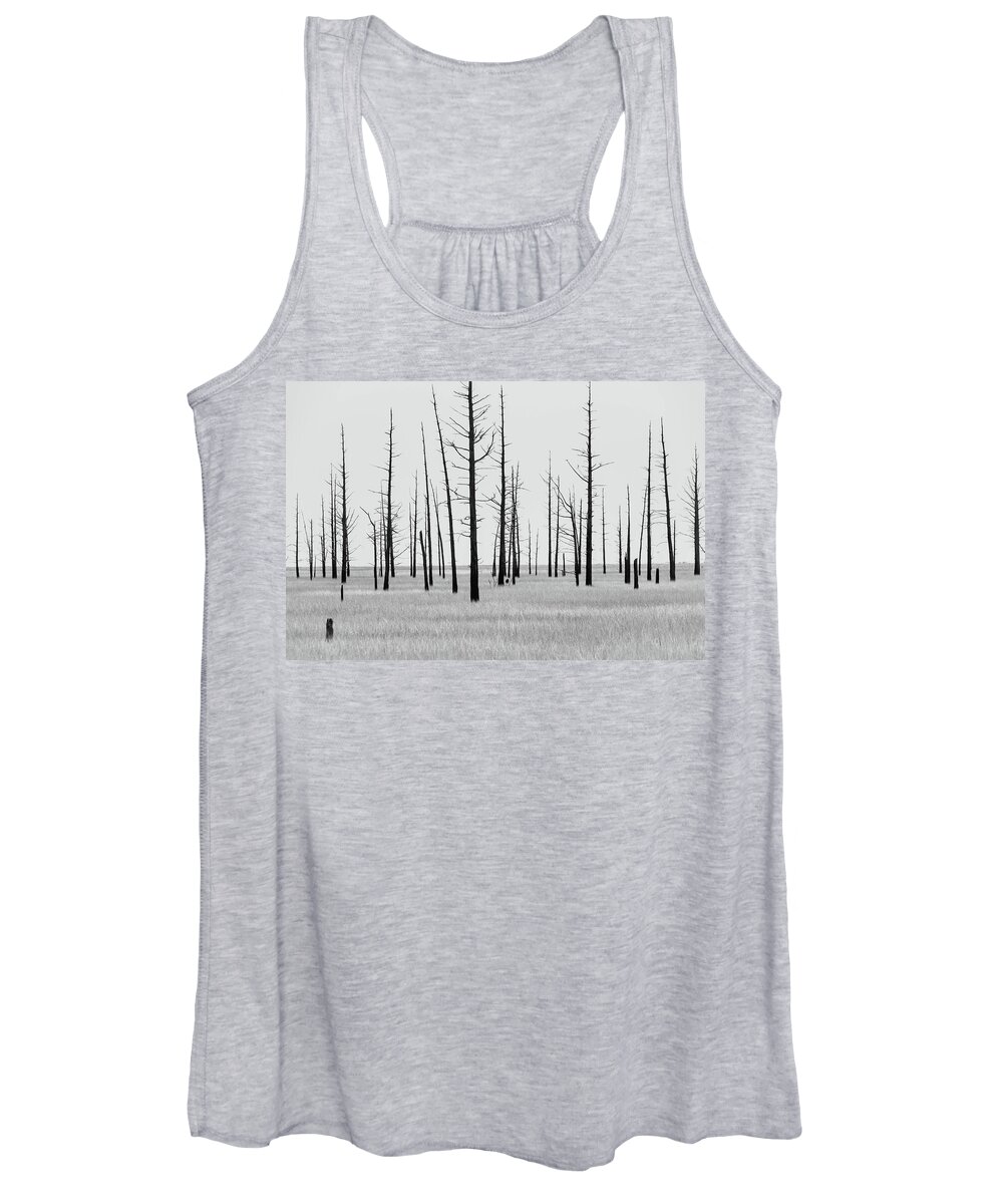 Landscape Women's Tank Top featuring the photograph Trees Die off by Louis Dallara