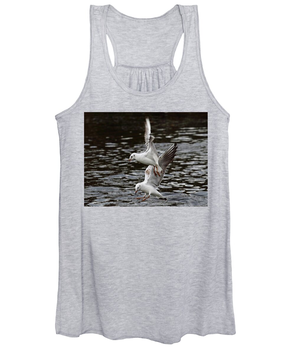 Birds Women's Tank Top featuring the photograph Two Black Headed Gulls by Jeff Townsend