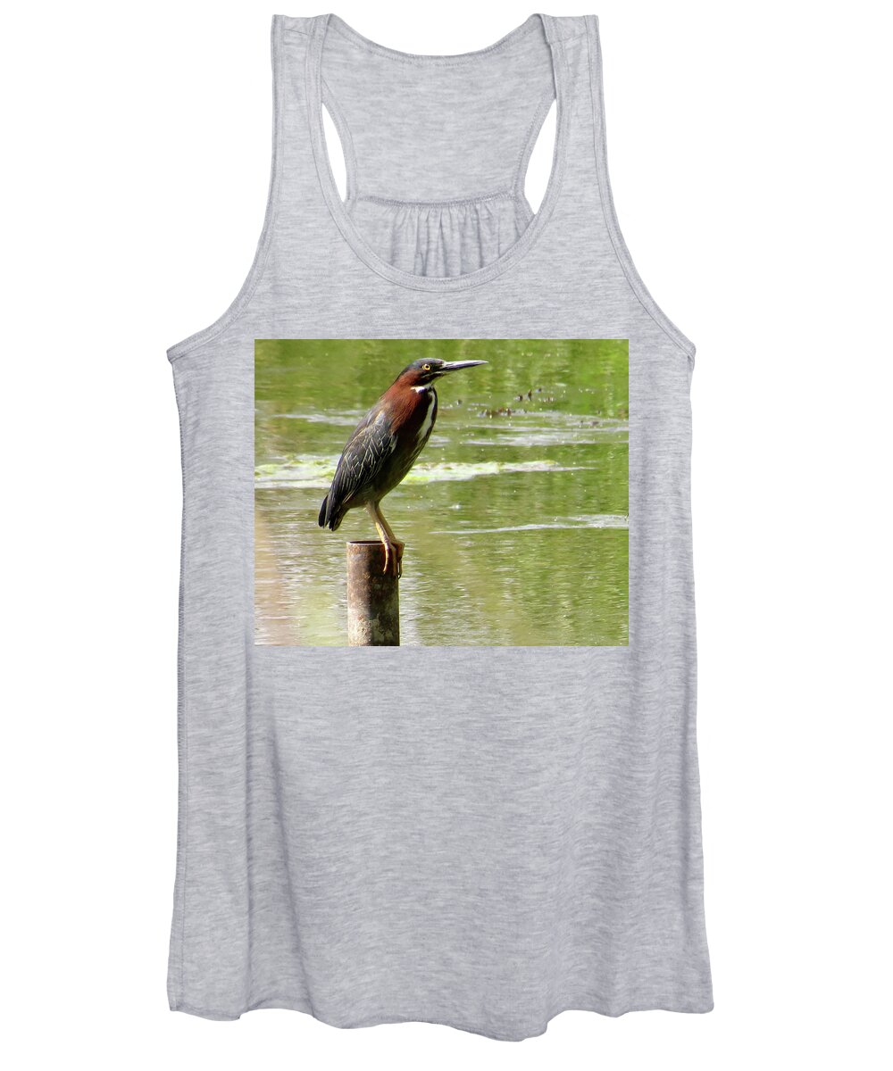 Green Heron Women's Tank Top featuring the photograph Waiting by Azthet Photography