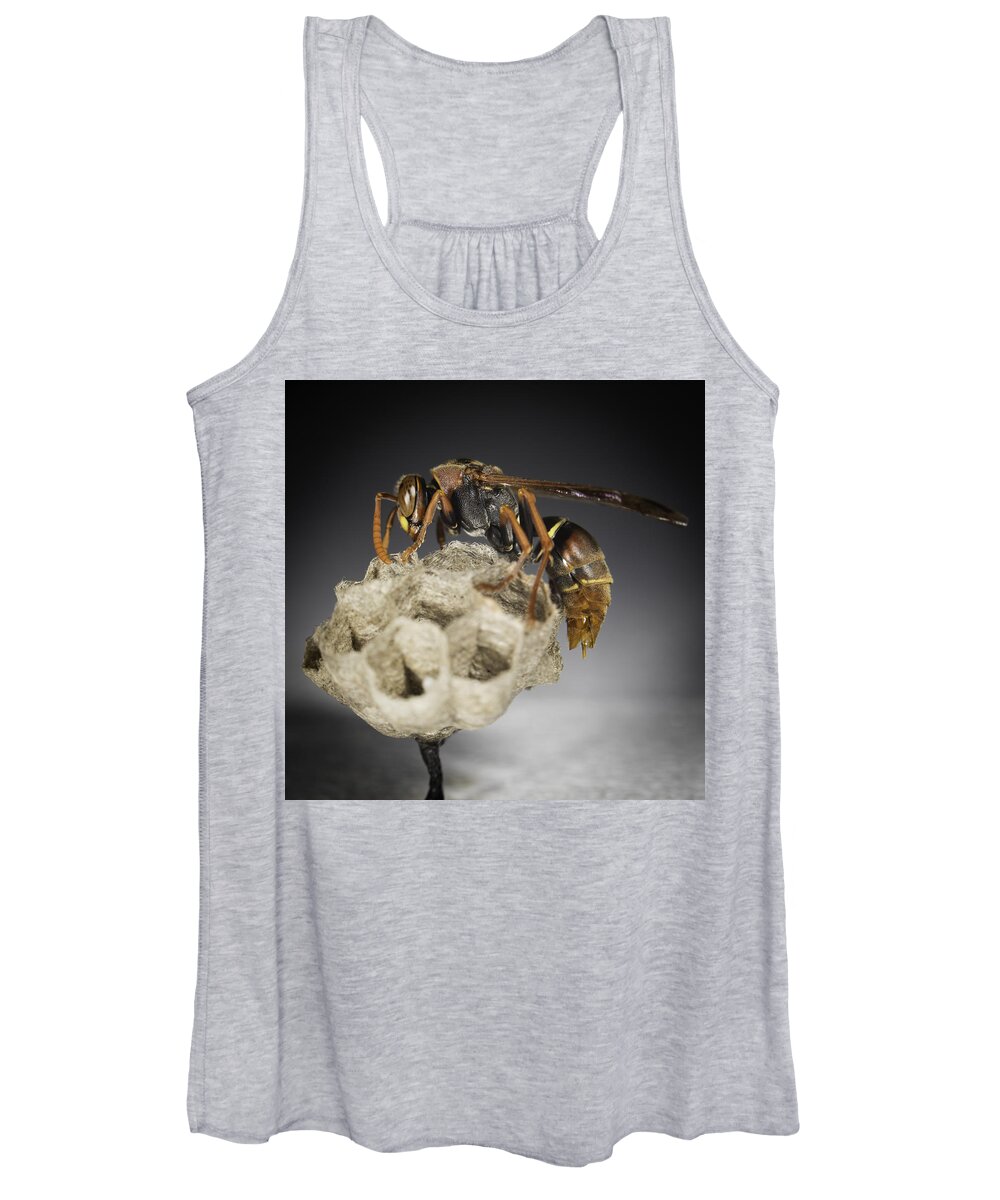 Macro Women's Tank Top featuring the photograph Wasp on a nest by Chris Cousins