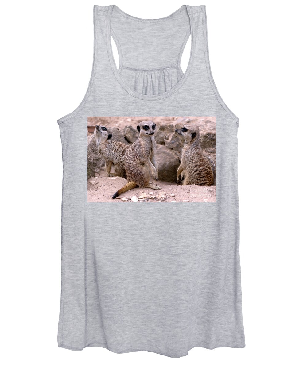 Animal Women's Tank Top featuring the photograph Watchers by Stephen Melia