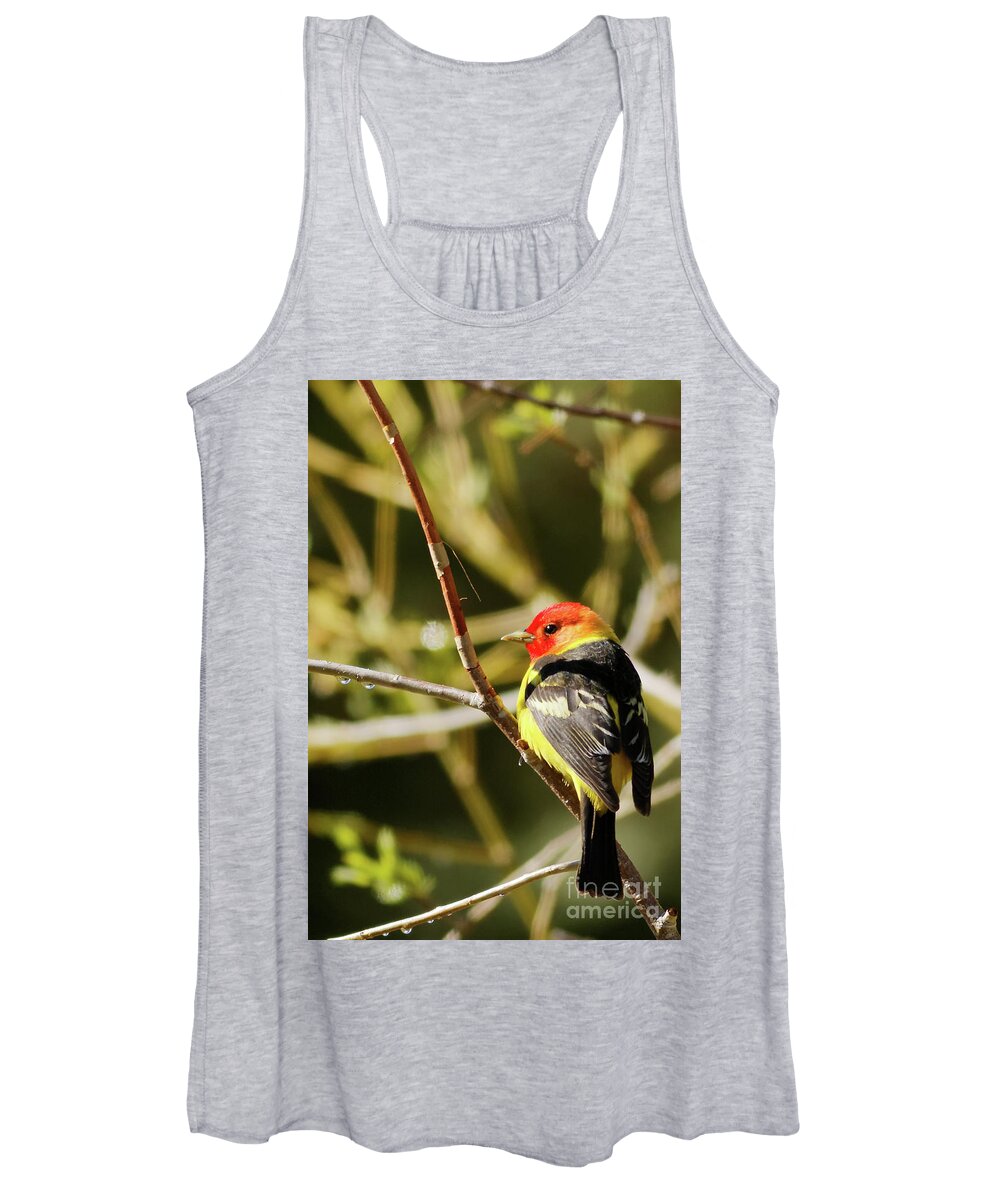 Western Tanager Women's Tank Top featuring the photograph Western Tanager in the Rocky Mountains of Colorado by Natural Focal Point Photography