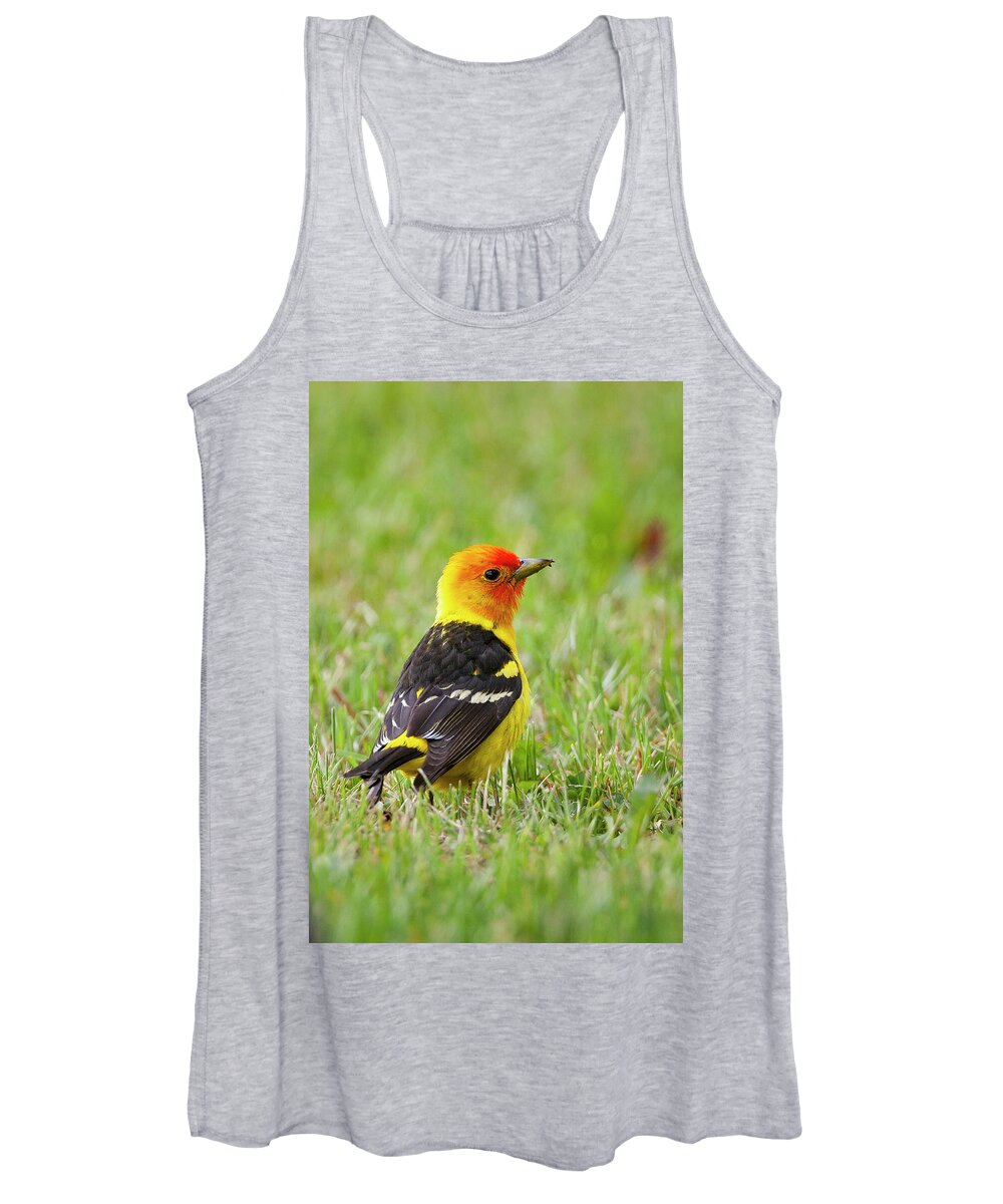 Mark Miller Photos Women's Tank Top featuring the photograph Western Tanager by Mark Miller
