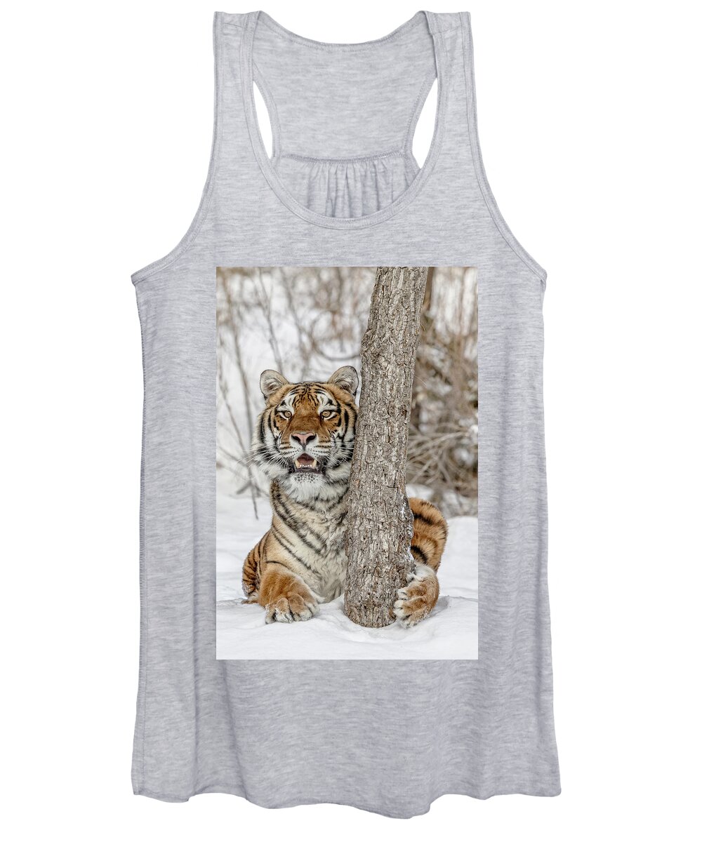 When Tigers Hide Women's Tank Top featuring the photograph When Tigers Hide by Wes and Dotty Weber