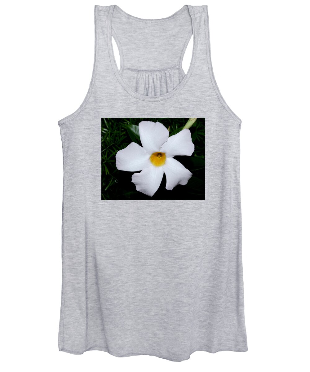 Nature Women's Tank Top featuring the photograph White Mandevilla by Robert Morin