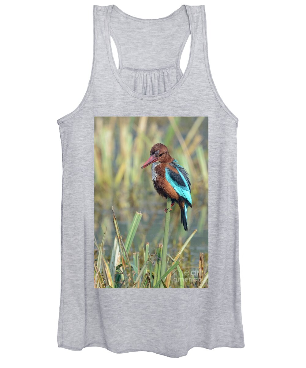 Bird Women's Tank Top featuring the photograph White-throated Kingfisher 13 by Werner Padarin