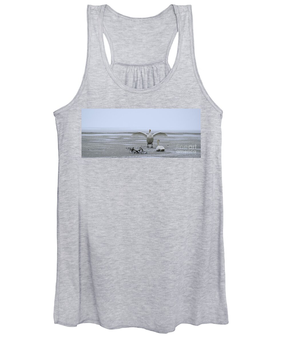 Swan Women's Tank Top featuring the photograph Whooper Swan by Esko Lindell