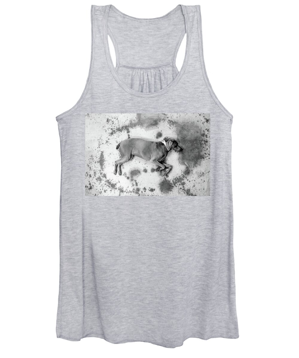 Weimaraner Women's Tank Top featuring the photograph Why-Me by Bradley Dever