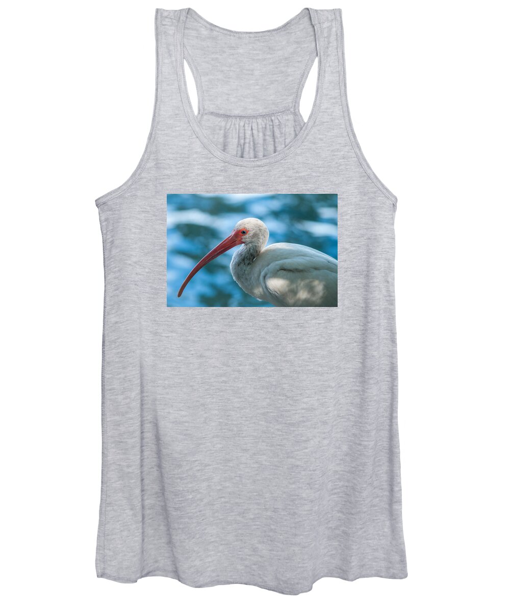 American White Ibis (eudocimus Albus) Women's Tank Top featuring the photograph Wild eyed Ibis by Brian Green